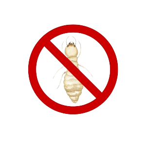 أضرار النمل الأبيض