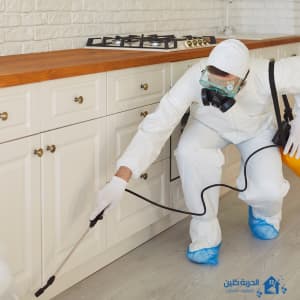 القضاء علي الصراصير في المطبخ