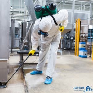مكافحة العناكب بالرياض