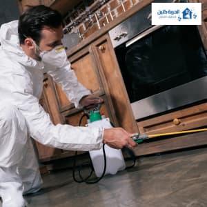 شركة رش مبيدات / تقدم شركتنا افضل خدمات الرش للحشرات