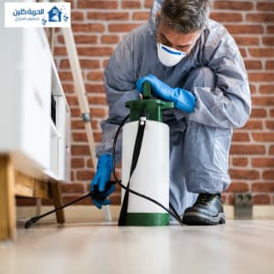 أفضل شركة رش مبيدات