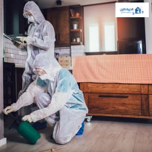 افضل الطرق لمكافحة الحشرات