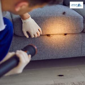 مكافحة العث