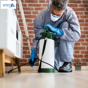 طرق طبيعية للتخلص من الصراصير بالرياض