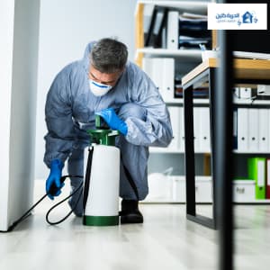 القضاء علي الآفات نهائيا