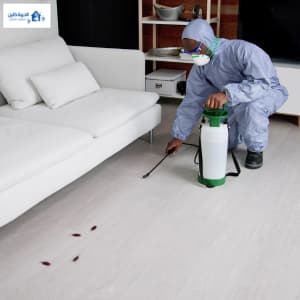 أفضل شركة مكافحة قوارض بالرياض