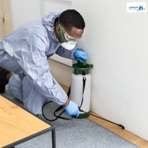 طرق طبيعية للتخلص من الصراصير بالرياض