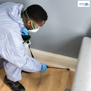 طرق طبيعية للتخلص من الصراصير بالرياض