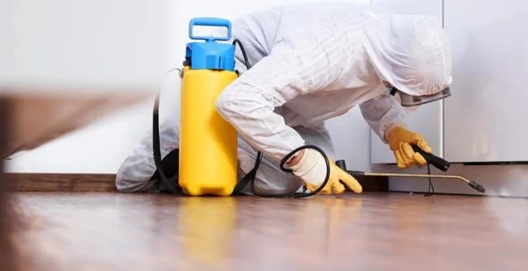 كيف تختار أفضل شركة رش مبيدات بالرياض
