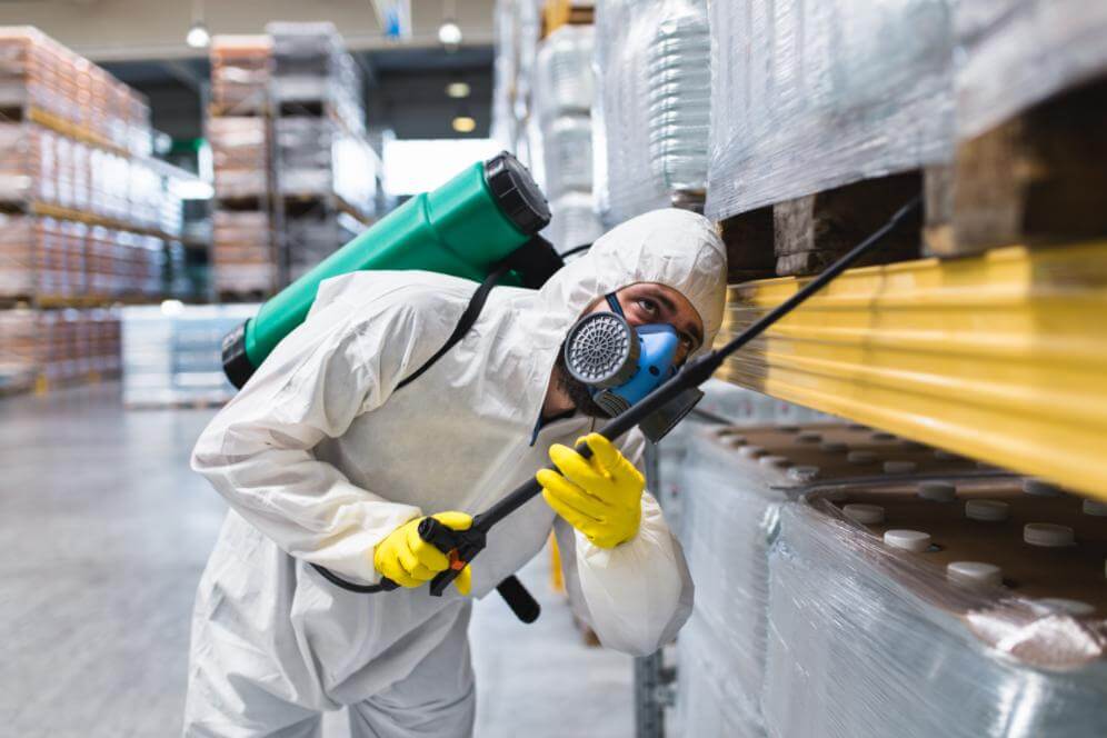 مكافحة النمل الأبيض شمال الرياض