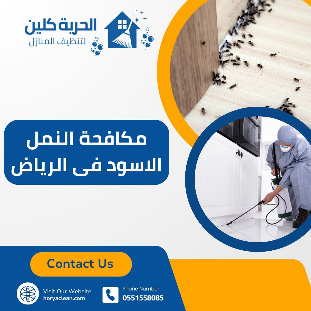 مكافحة النمل الأسود في الرياض